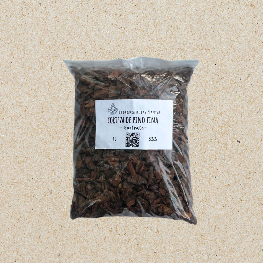 Corteza de pino