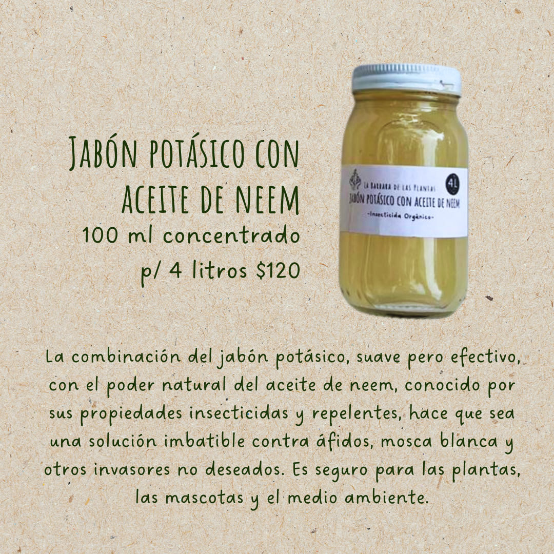 Potassium soap with neem oil / concentrate