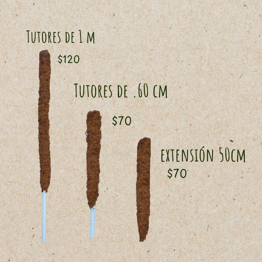 Tutores expandibles para plantas