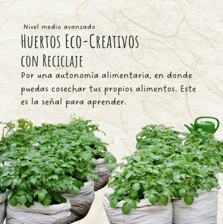 Ecohuertos