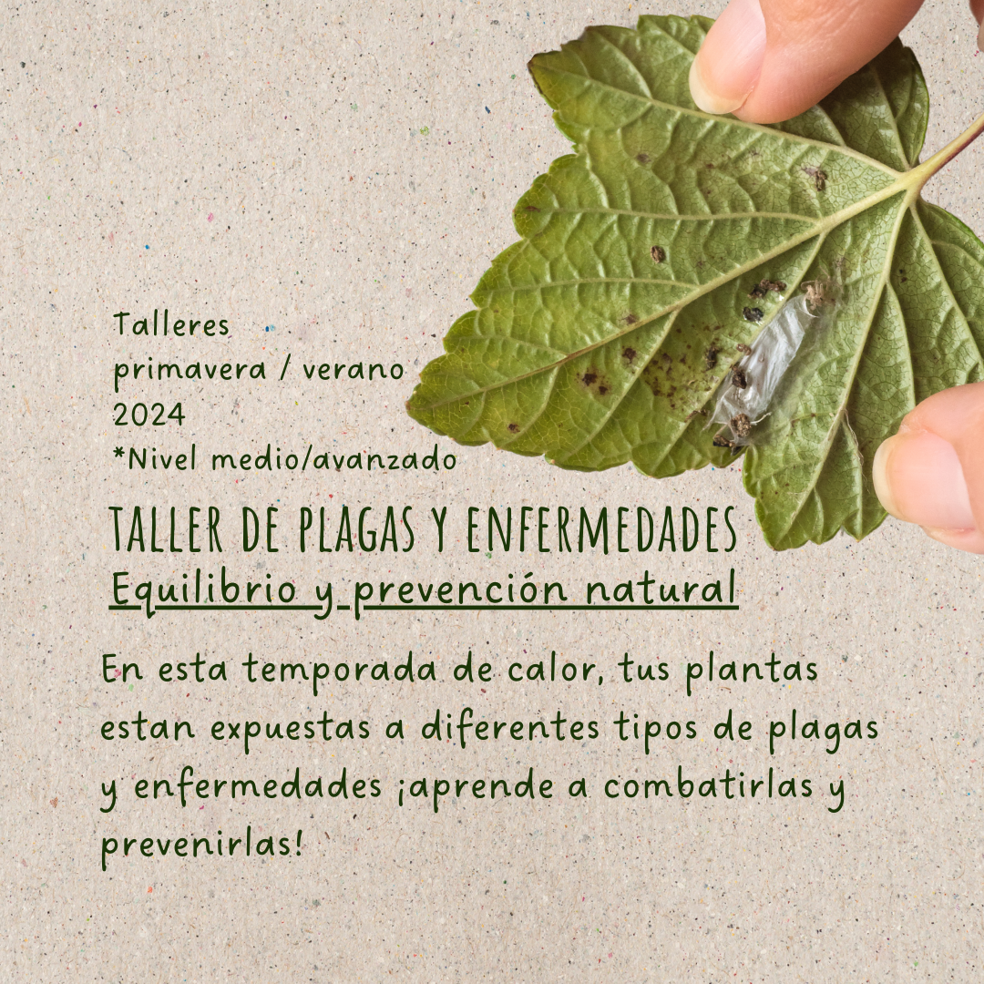 Ecological balance and natural prevention. - Plagues and diseases