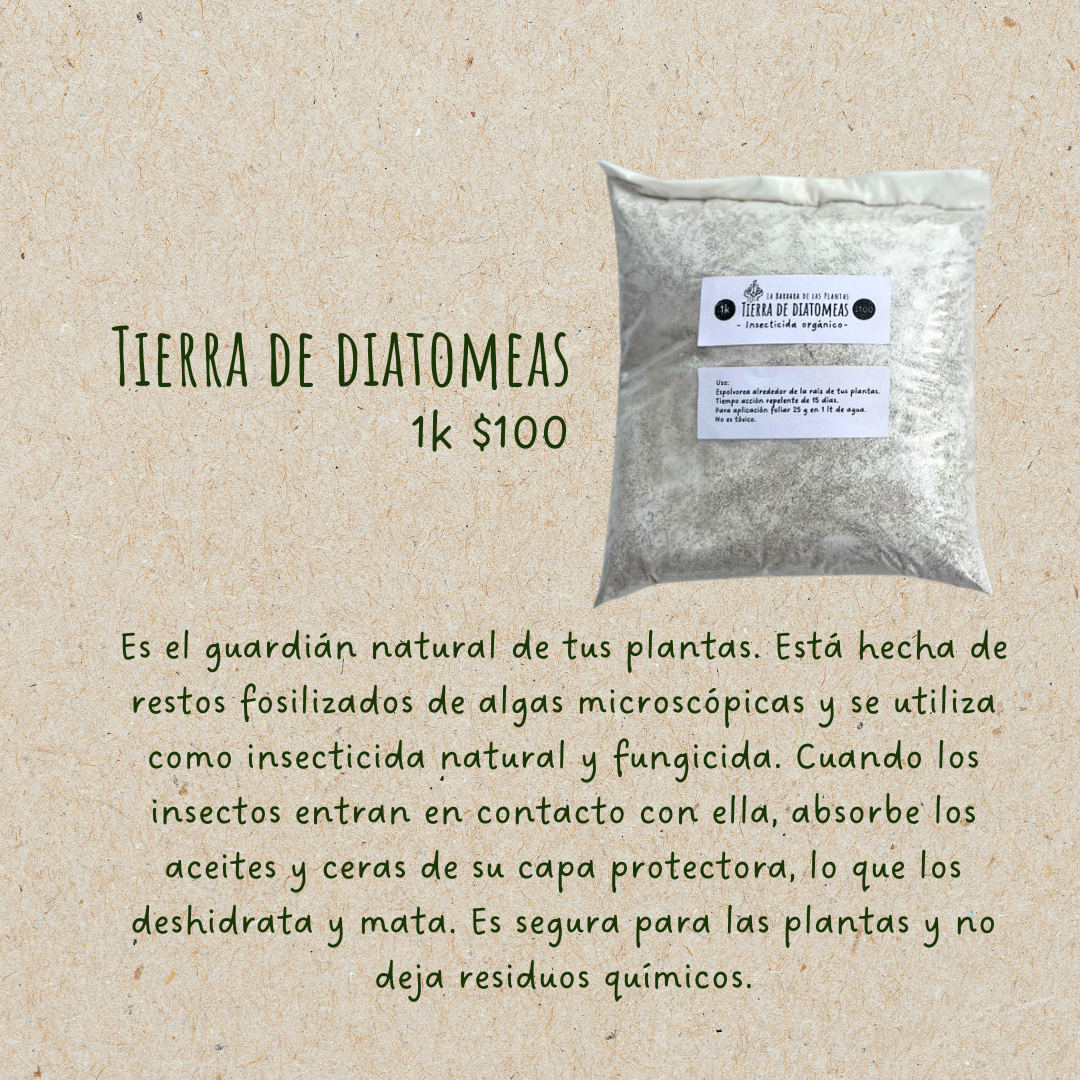 Tierra de diatomeas