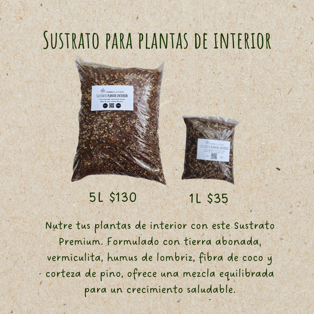 Sustrato para plantas de interior