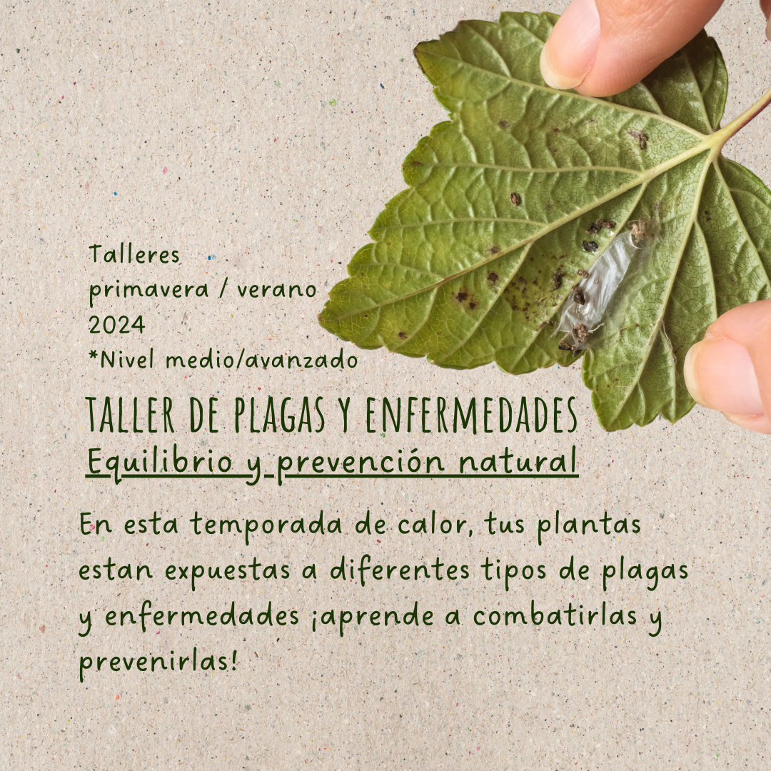 Equilibrio ecológico y prevención natural. - Plagas y enfermedades